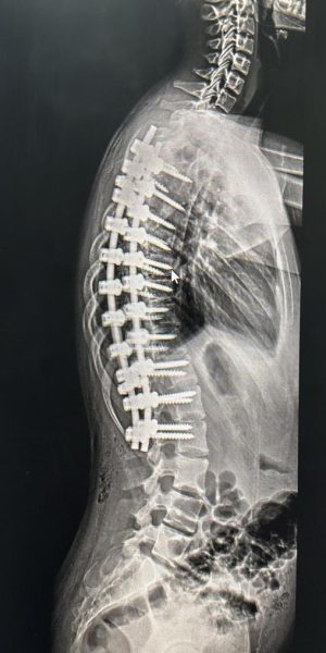 WhatsApp Image 2025-06-01 at 17.11.15 WhatsApp Image 2025-06-01 at 17.11.15